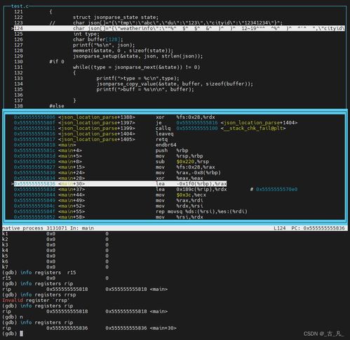 逆向入門與實(shí)戰(zhàn) 網(wǎng)絡(luò)與信息安全軟件開(kāi)發(fā)的核心技能